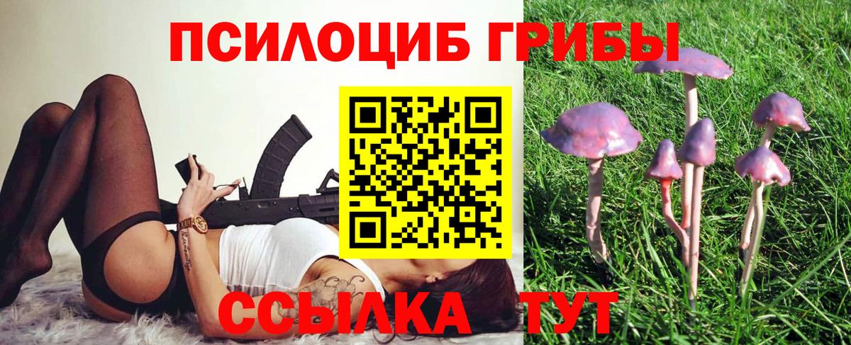 Галлюциногенные грибы GOLDEN TEACHER Павловский Посад