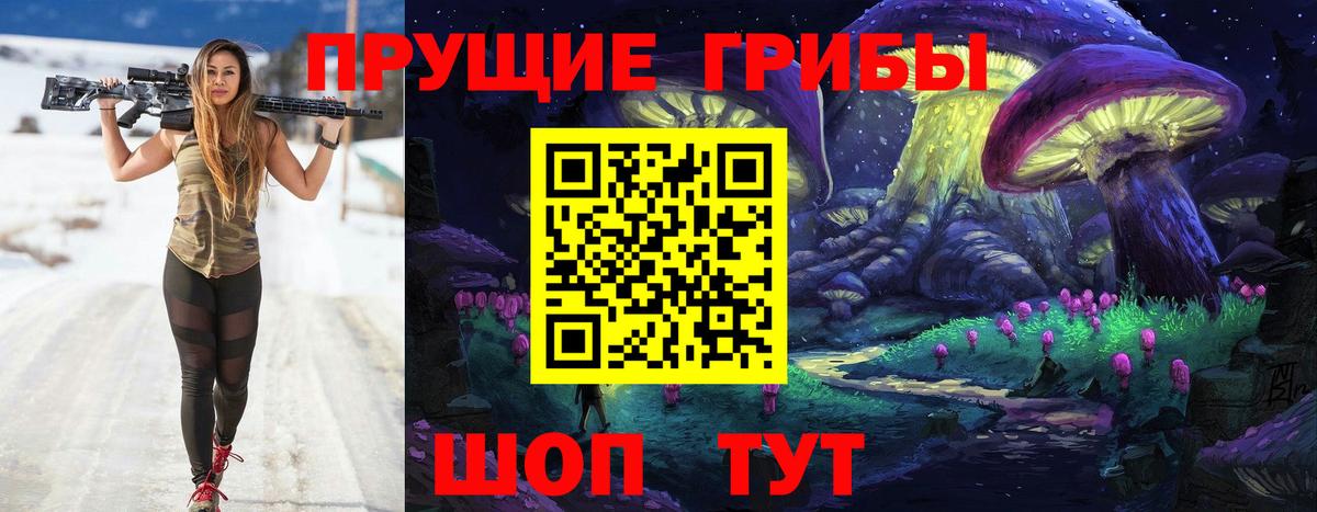 Галлюциногенные грибы Cubensis  Вход с VPN  Павловский Посад  Галлюциногенные грибы прущие грибы 